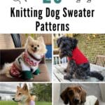 20 Knitting Dog Sweater Patterns pinterest image.