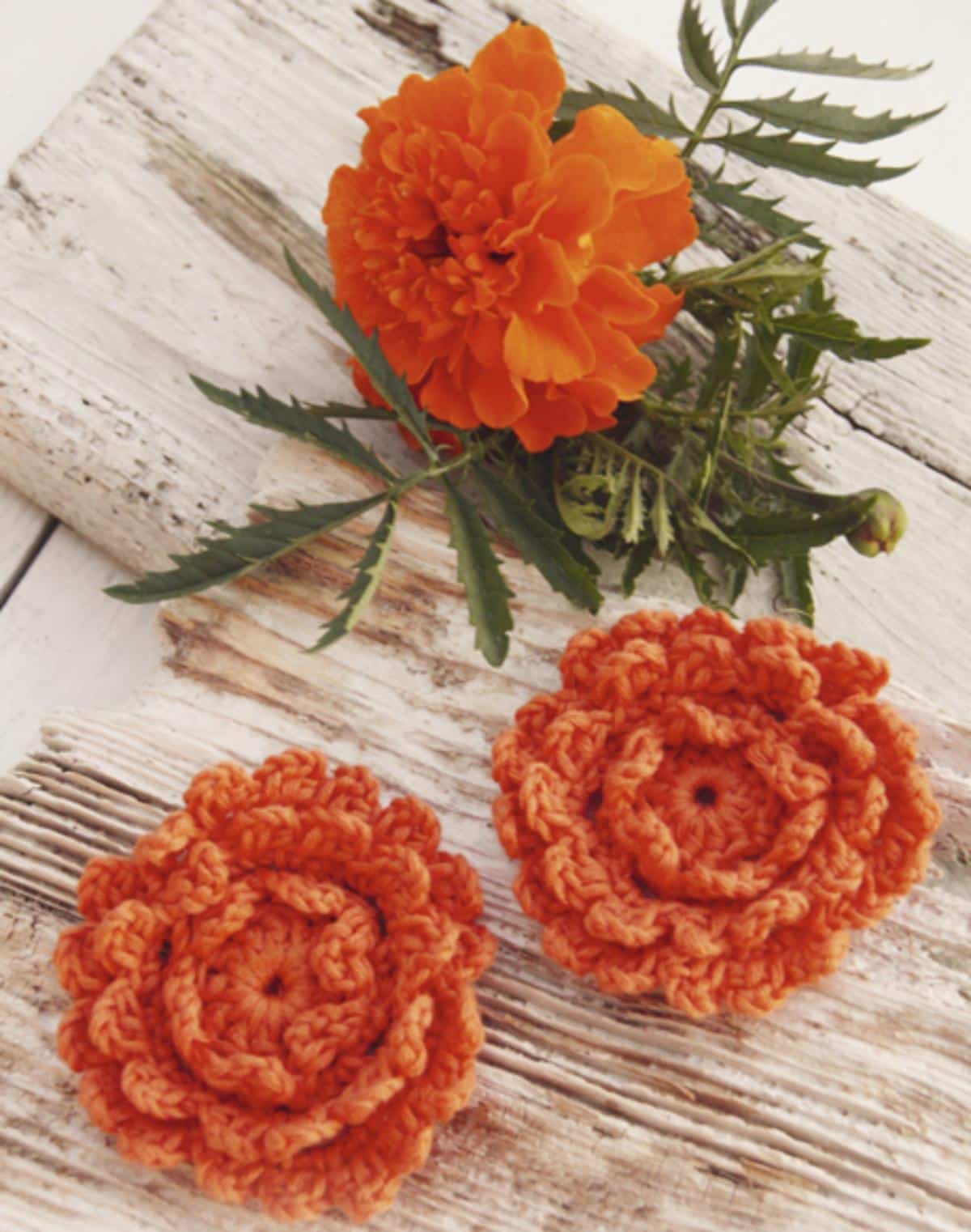 Crochet Marigolds