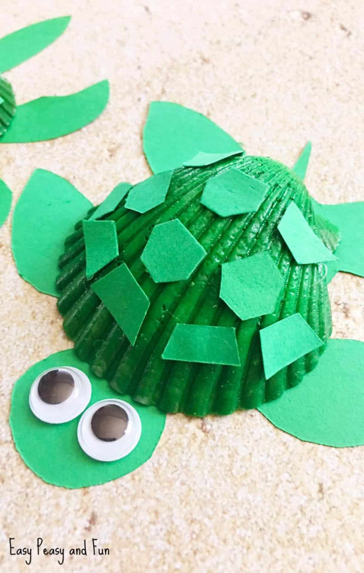 Seashell Turtle Craft